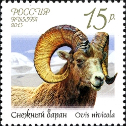 Fauna of Russia - Wild Goats and Rams