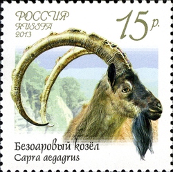Stamp, Fauna of Russia - Wild Goats and Rams, Russia,  