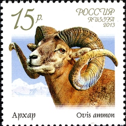 Fauna of Russia - Wild Goats and Rams