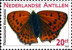 Butterflies - Lesser Fiery Copper