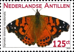 Butterflies - Malachite