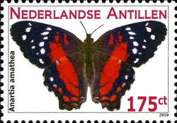 Butterflies - Brown Peacock