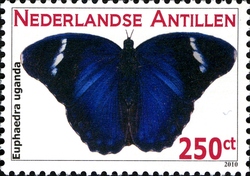 Stamp, Butterflies - Euphaedra uganda, Curaçao,  
