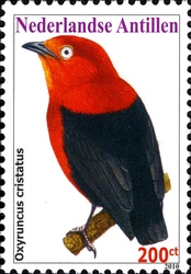 Stamp, Birds - Sharpbill, Curaçao,  