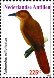 Birds - Chestnut-crowned Foliage-gleaner