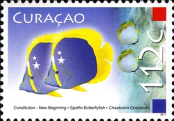 Constitution - New Beginning - Spotfin Butterfly Fish