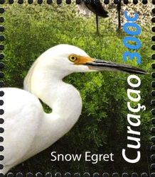 Birds of the Sea and Shore - Snow Egret