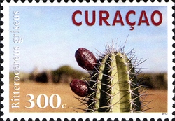 Plants of Curacao - Datu