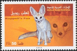 Carnivorous Animals in Arabia - Ruppell's Fox
