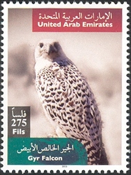 Falcons - Gyr Falcon