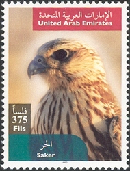 Falcons - Saker
