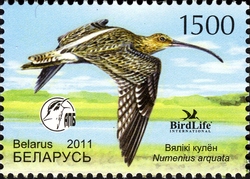Stamp, Bird of the Year - Eurasian Curlew, Belarus,  