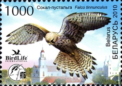 Stamp, Bird of the Year - Kestrel, Belarus,  