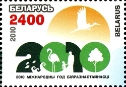 International Year of Biodiversity