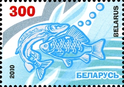 International Year of Biodiversity