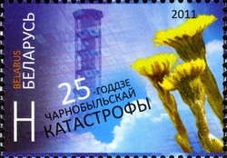 25th Anniversary of the Chernobyl Disaster
