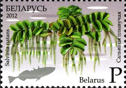 Stamp, Endangered Plants of Belarus - Floating Fern, Belarus,  