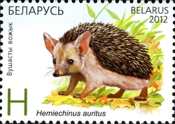 Joint issue of Belarus and Kazakhstan - Hedgehogs