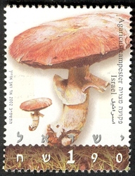 Stamp, Mushrooms - Agaricus campester, Israel,  