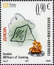 100 Years of Scouting