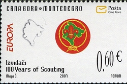100 Years of Scouting
