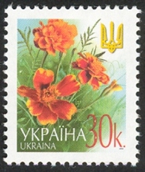 Marigolds