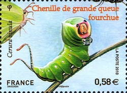 Stamp, Butterdlies - Cerura vinula, France,  
