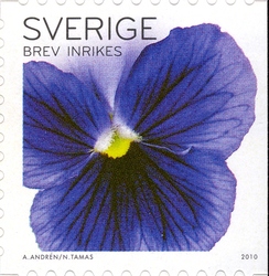 Pansies