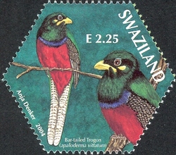 SAPOA Joint stamp issue - Bar-tailed Trogon