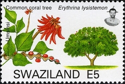Stamp, Trees of Swaziland - Common Coral Tree (Erythrina lysistemon), Swaziland,  
