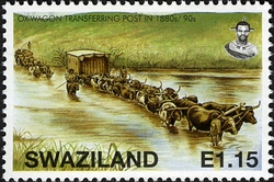 Swaziland Postal History - Ox Wagon transporting Post. 1890's