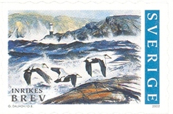 Summer in Bohuslan - sea birds