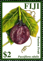 Passion fruit