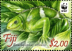 WWF - Crested Iguana of Fiji - Brachylophus vitiensis