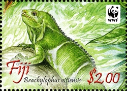WWF - Crested Iguana of Fiji - Brachylophus vitiensis
