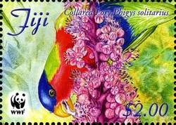 WWF - Fiji Collared Lory