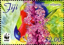 WWF - Fiji Collared Lory
