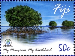 My Mangroves. My Livelihood