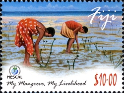 My Mangroves. My Livelihood