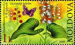 Stamp, Flora - Endangered Species - Maianthemum bifolium, Moldova,  