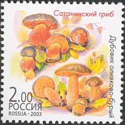Twin Mushrooms - Boletus satanas and Boletus kuridus
