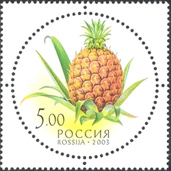 Gifts of Nature - Pineapple