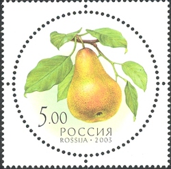 Gifts of Nature - Pear