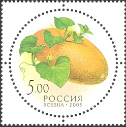Gifts of Nature - Melon