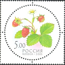 Stamp, Gifts of Nature - Wild Strawberry, Russia,  