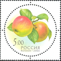 Stamp, Gifts of Nature - Apple, Russia,  