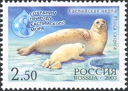 Stamp, Preserve the Caspian Sea Environment - Russia-Iran Joint Issue - Caspian Seal, Russia,  