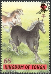 Chinese Year of the Horse