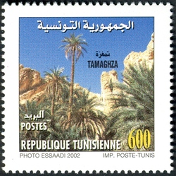 Saharian Tourism - Tamaghza