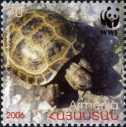 Stamp, WWF - Four-toed Tortoise -Testudo Horsfieldii, Armenia,  